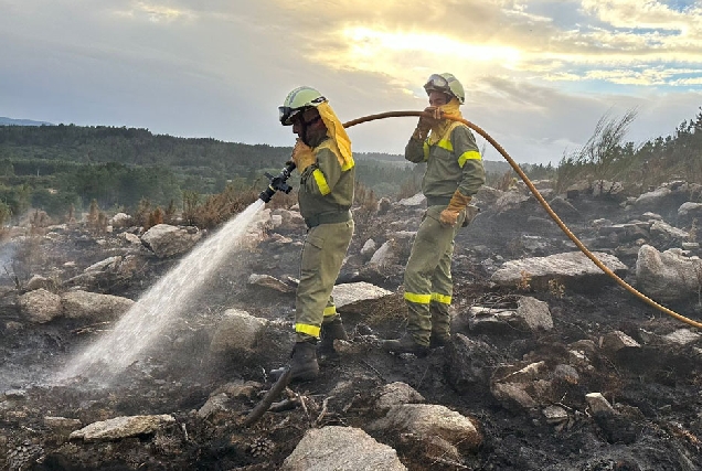 brigada forestal lume bosque incendio bombeiros